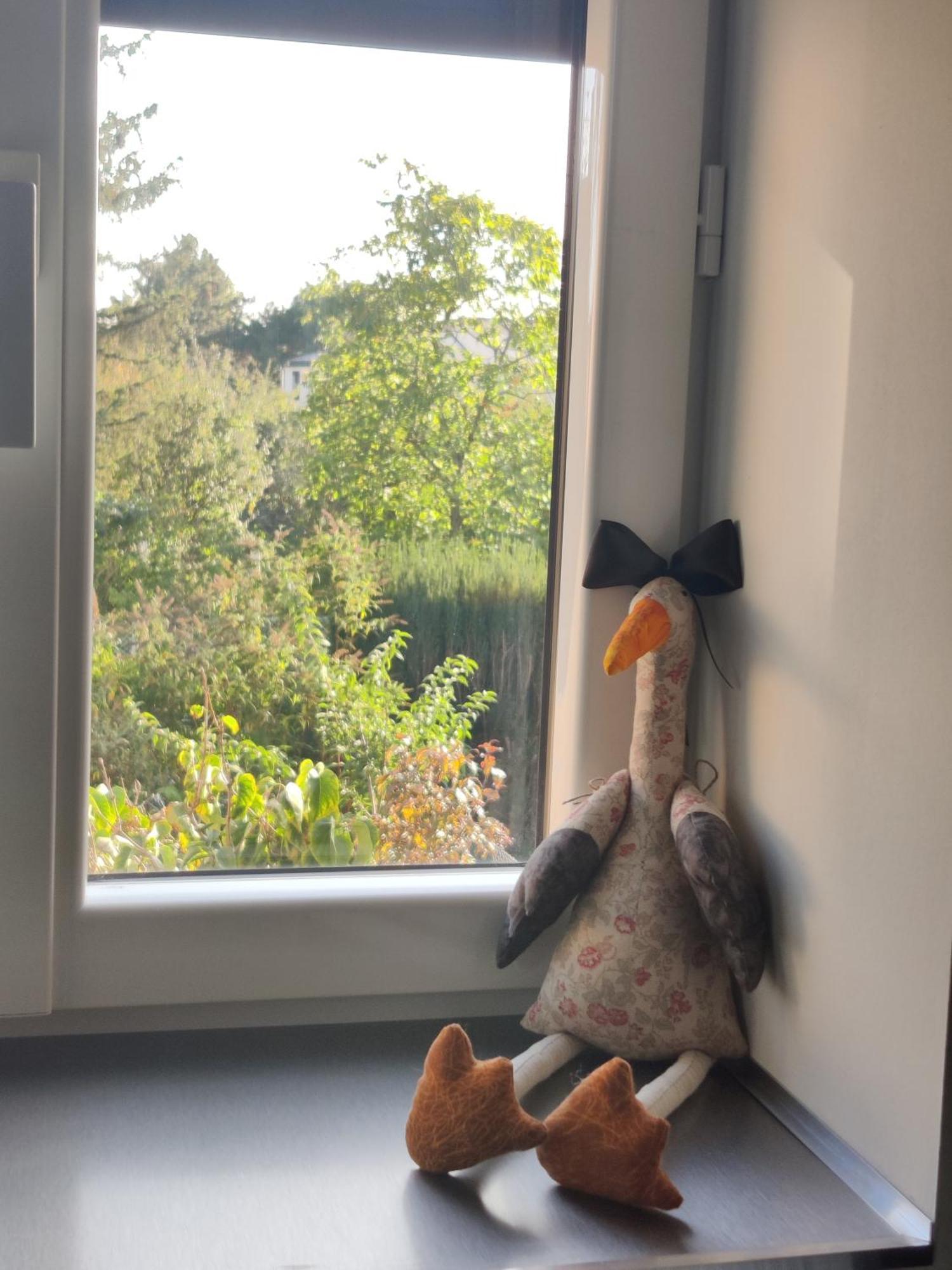 Appartement Cosy Sausheim Kültér fotó